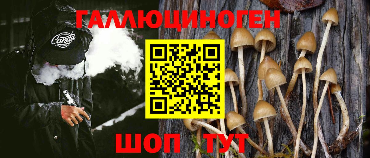 Галлюциногенные грибы Psilocybine cubensis  Вход с VPN  Орёл  Псилоцибиновые грибы GOLDEN TEACHER 